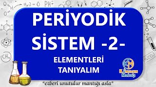 Atom ve Periyodik Sistem 5  ELEMENTLERİN ÖZELLİKLERİ  TYT [upl. by Nevi]