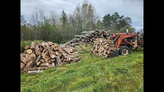 GETTING READY FOR WINTER Garden Making butter Saving seeds Cows Farmhouse cooking Cutting wood [upl. by Laurentia]