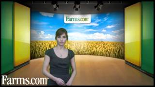 Farmscom A look at the USDA WASDE and Crop Production Reports [upl. by Ricardama297]