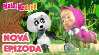 Máša a Medvěd 💥NOVÁ EPIZODA💥 Bratránek 💁🏼‍♀️🐼 Kolekce epizod 🎬 [upl. by Eocsor]