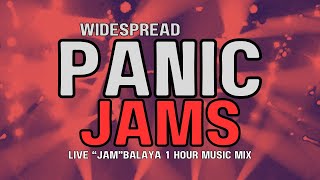 Widespread Panic Jams Live Music Mix No Vocals [upl. by Eddina]