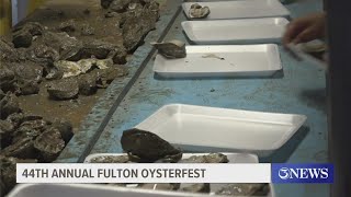 Fulton Oysterfest sees large turnout [upl. by Notxam201]