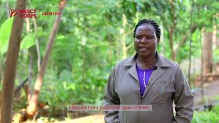 How A Blossoming Tree Nursery Business Transforms Barren Lands [upl. by Gorrian]