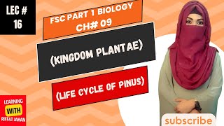 Ch09  Kingdom Plantae  Lecture  16  Life Cycle Of Pinus riffatjahan [upl. by Anillehs]