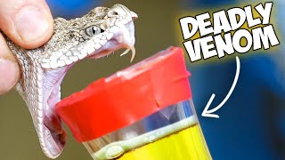 Snake Venom Vs Human Blood [upl. by Theola]