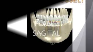 Biomecánica Mandibular Prostodoncia [upl. by Lisle]