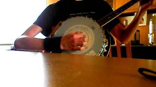 Flogging Molly  Light of a fading star  Tenor banjo cover [upl. by Orme]