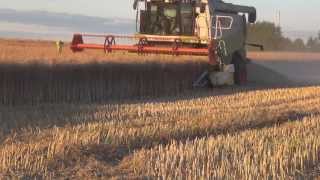 We GROW  We HARVEST 2013 Full HD  Moisson Żniwa Harvesting Ernte [upl. by Lyman]