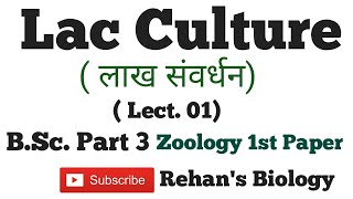 Lac Culture लाख संवर्धन Lac insect Laccifer lacca Tachardia spZoology BSc3 Rehans Biology [upl. by Tfat]