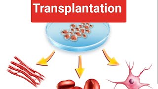 Transplantation Immunologycomplete explanation with Notes by Yogita Yadav [upl. by Llyrehc]