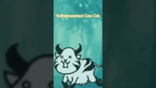 Ranking all Brainwashed Cat [upl. by Notfilc]