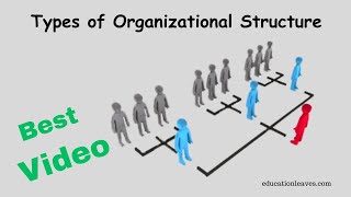 Types of Organizational Structure in management [upl. by Anitsyrk]