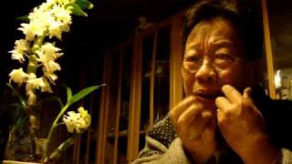 Tran Quang Hai improvizes with the Yakut Khomus Jews harp [upl. by Anayaran]