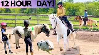 CRAZY DAY ON THE HORSE FARM Barn Chores Lessons Riding [upl. by Okiam]