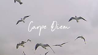 flmrd  Carpe Diem Official Visualizer [upl. by Yunick]