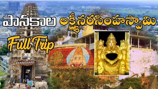 Mangalagiri Panakala Lakshmi Narasimha Swamy Templepanakala swamy temple vlog triptraveller [upl. by Elatan596]