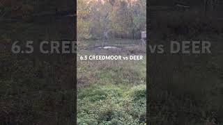 65 CREEDMOOR vs DEER [upl. by Diarmid]