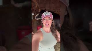 Homemade Fly Spray Natural and Hypoallergenic for Horses Livestock [upl. by Eseryt]