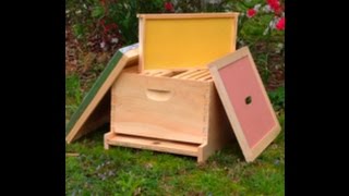 First Year Of Beekeeping basic equipment starting your beehive [upl. by Lewin753]