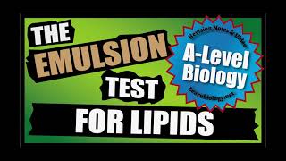 Steps for the Emulsion test for lipids  Lipids  A Level Biology [upl. by Lletnahc]