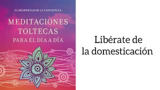 DESPARACITACION ENERGETICA Meditación 14 Los 4 acuerdos Toltecas Liberate de la domesticacion [upl. by Guise50]