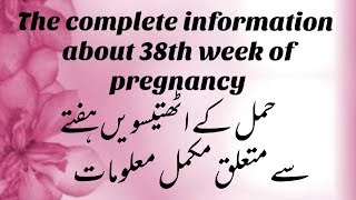 Pregnancy At 38th Week The Complete Mothers Guide About 38th Week Of Pregnancy [upl. by Ahtebat953]