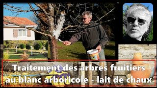 Traitement des arbres fruitiers au blanc arboricole  lait de chaux [upl. by Odraboel]