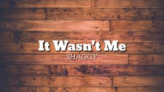 Shaggy  It Wasnt me Lyrics [upl. by Ylehsa]