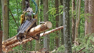 So funktioniert ein Debarking Harvester  Einsatz in den Managementzonen des Nationalparks [upl. by Anauqcaj]