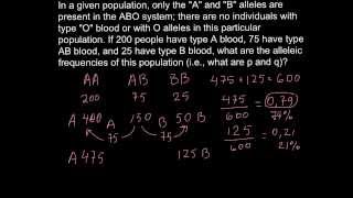 How to calculate allele frequency in ABO blood system [upl. by Naenej371]