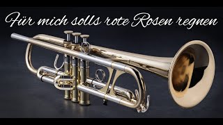 Für mich soll´s rote Rosen regnen Instrumental [upl. by Arst]