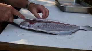 The Easy amp Best Way to Fillet a Flounder or Fluke [upl. by Winzler138]