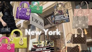 GOT MY DREAM LUXURY BAG 😱  DIOR LOUISE VUITTON CHANNELLV LUXURY SHOPPING VLOG [upl. by Ycak862]