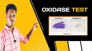 Oxidase Test AZ  in Bangla video [upl. by Eislrahc103]