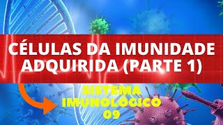 CÉLULAS DA IMUNIDADE ADQUIRIDA PARTE 1  IMUNOLOGIA SISTEMA IMUNOLÓGICO  ENSINO SUPERIOR [upl. by Alol738]