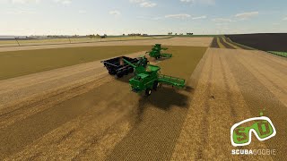 Bog Machines Harvesting Sunflower and Cor  Waverly KY Map [upl. by Alarick]