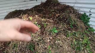 Compost Heap Tips Feed your soil not your plants [upl. by Ennovyhc]