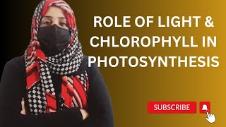 Role Of Light amp Chlorophyll In Photosynthesis  Photosystems  Carotenoids  Class 9  Unit 7 [upl. by Arej]