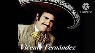 La Derrota Vicente Fernandez [upl. by Anatniuq]