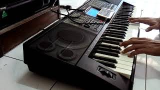 TES SAMPLING ORG VIA KEYBOARD TECHNO T9880ig2 [upl. by Eninahs]