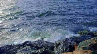 Dubai 🔥The lapping waves of the water at Ajman Beach are amazing to watch [upl. by Aicatsanna107]