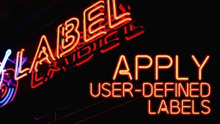 Advanced functional training Apply Userdefined labels [upl. by Gerk]