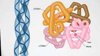 222 biocast [upl. by Schapira]