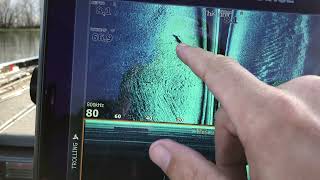 Lowrance HDS 12 Live Idling Tips Sam Rayburn January 2022 Report and GrassBrush Pile Tips [upl. by Jerri317]