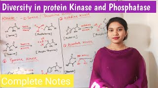 diversity in protein kinase and phosphatase  types and function of kinase and phosphatase  Hindi [upl. by Arag]