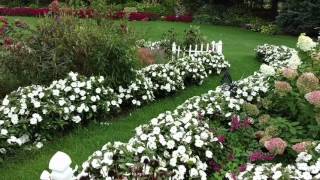 SUNPATIENS® WHITE [upl. by Ydna]