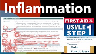 Inflammation 5 cardinal signs mechanism amp mediators in HindiUrdu by first aid for USMLE step 1 [upl. by Yevoc]