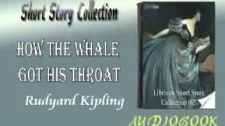 How the Whale Got His Throat Rudyard Kipling audiobook Short Story [upl. by Ahsielat]