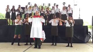 Cancion Zona 2 Camporee ADOSE Relevo De Victoria Eliseo 2017 [upl. by Tnek]