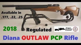 Diana OUTLAW Regulated PCP Rifle Unboxing Assembly Cleaning 25 Caliber [upl. by Palocz]